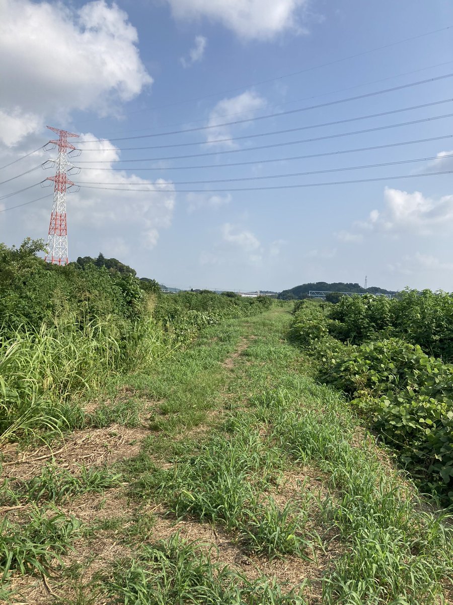 388tomohisa's tweet photo. おじさんになって、チャリンコで野山を駆け回るとはおもってなかった。 https://t.co/jNlZlmSa7X