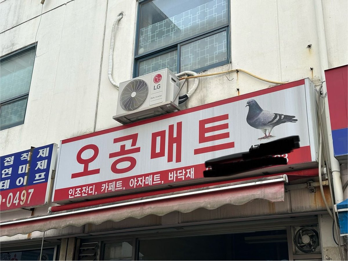 damoyeo999's tweet photo. 비둘기를 너무 사랑한 나머지 https://t.co/gYbJ6ic7PL