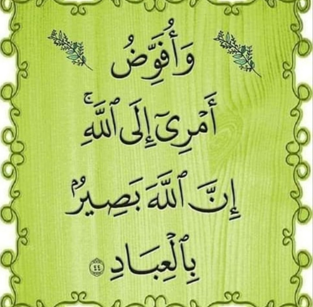 Mahmoud Alghamdi tweet media
