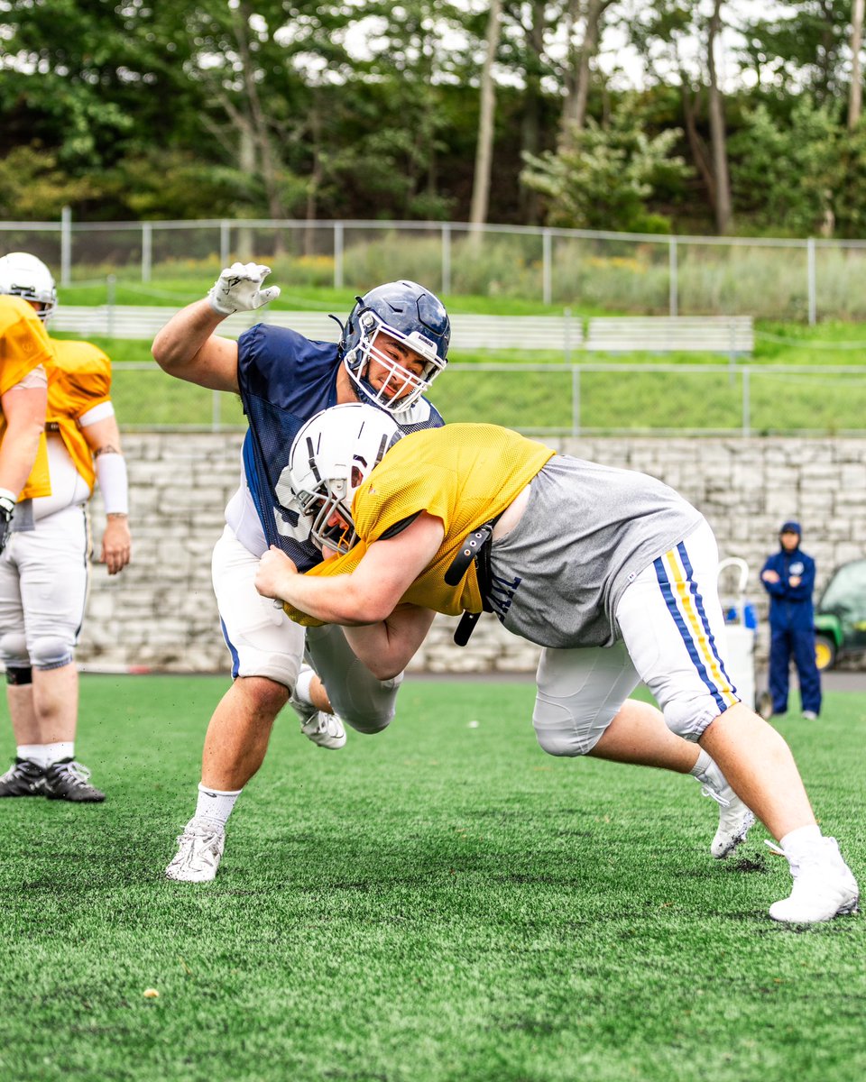 Ithaca Bomber Football tweet media