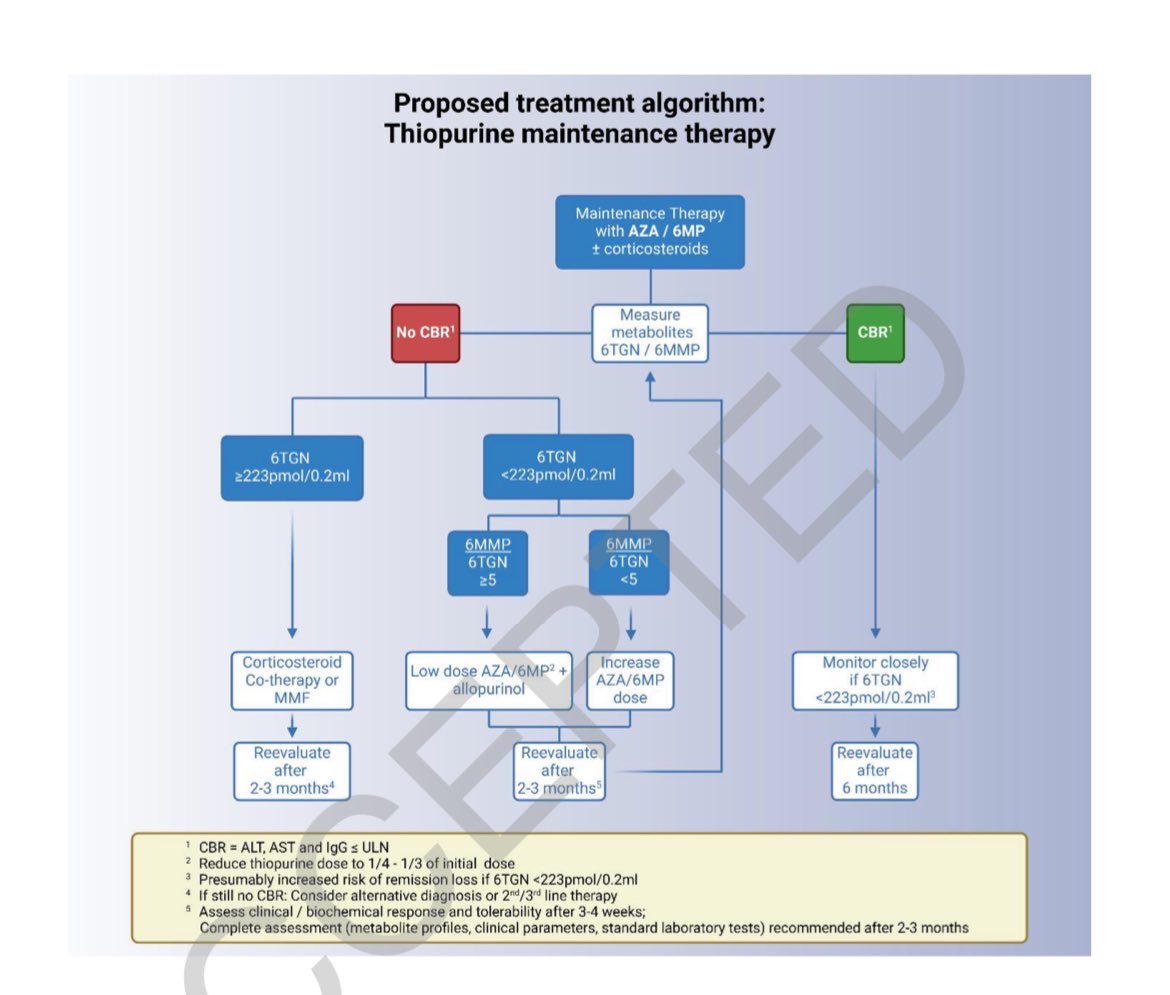 Elliot Tapper (@ebtapper) on Twitter photo Must read paper on azathioprine dosing in autoimmune hepatitis in <a href="/HEP_Journal/">HEPATOLOGY Journal</a>
This summary figure is gold
1. TGN target
2. When to add allopurinol Must read paper on azathioprine dosing in autoimmune hepatitis in <a href="/HEP_Journal/">HEPATOLOGY Journal</a>
This summary figure is gold
1. TGN target
2. When to add allopurinol