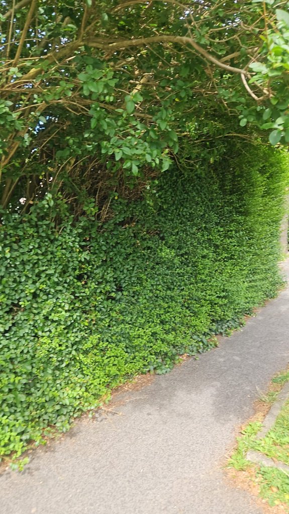 duffus_inga's tweet photo. I just updated a problem on @fixmystreet https://t.co/HBriTjhiuz https://t.co/zkOekRGfSP