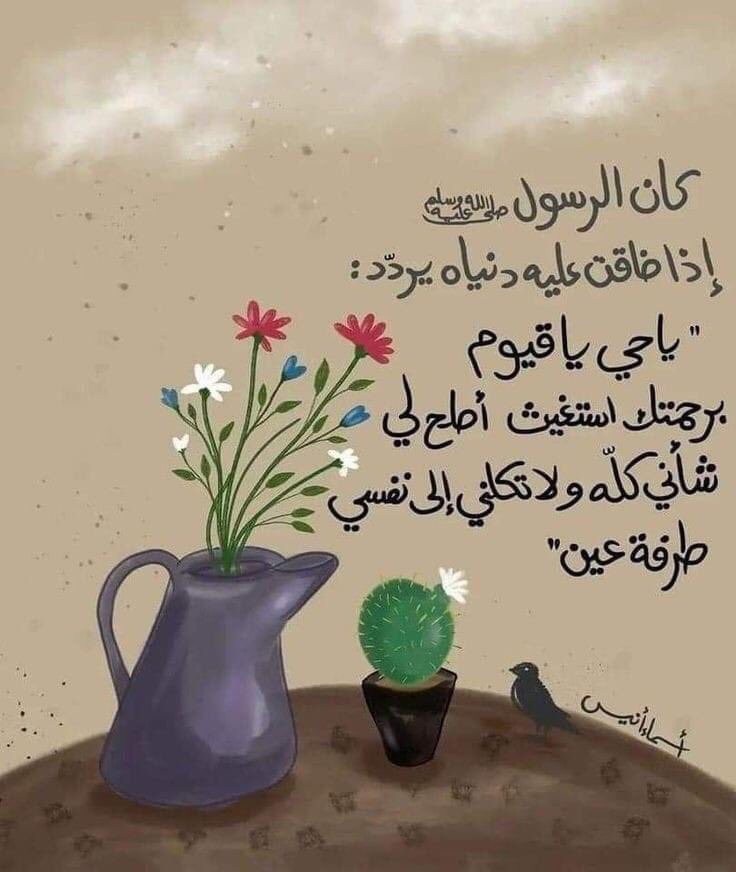 WaeL tweet media
