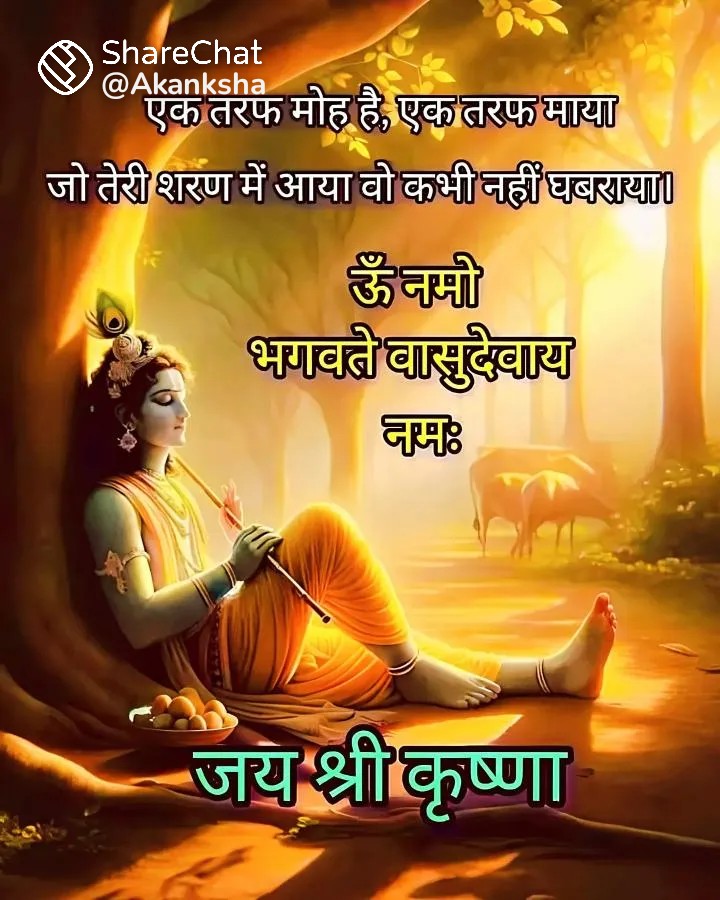 🌹🙏shree krisnam sharnam gachhami 🌹🙏🙏