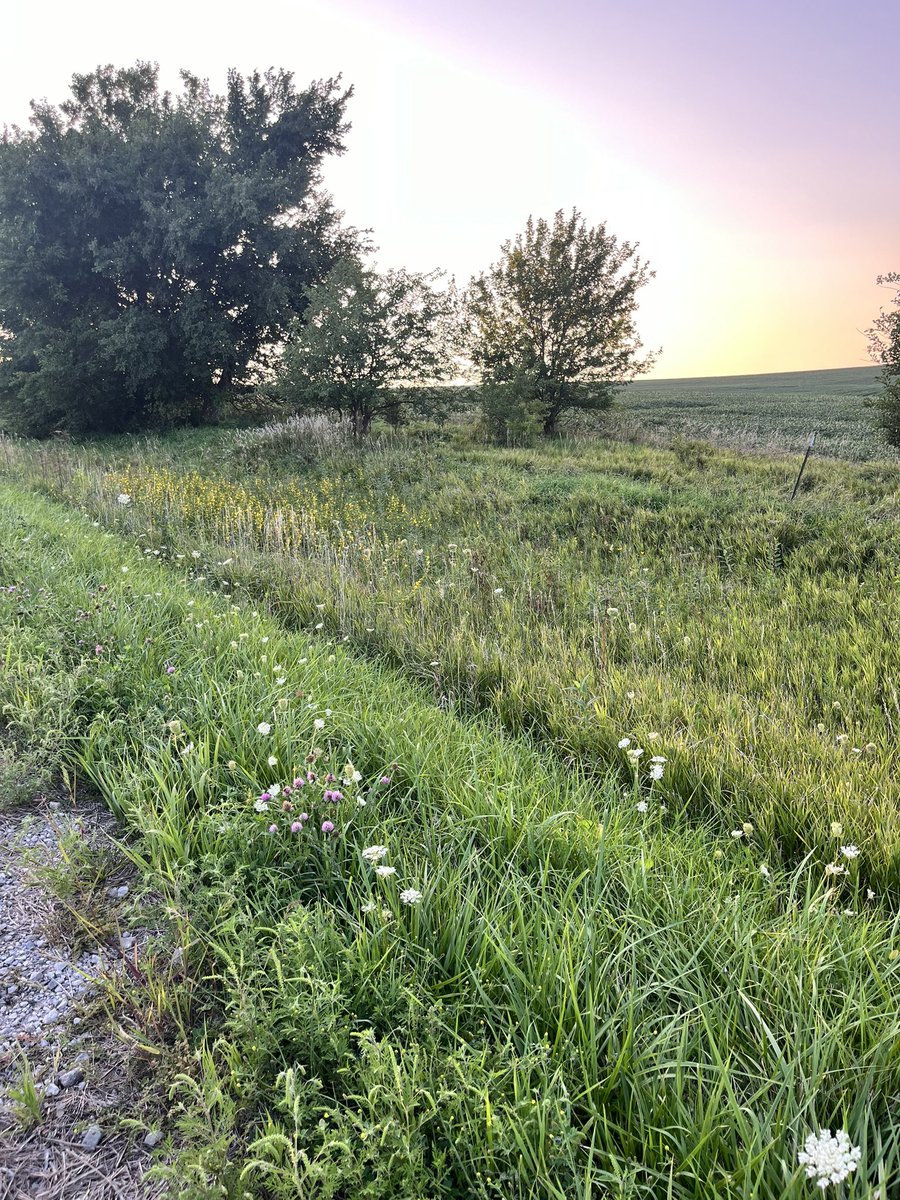 lizdimple7's tweet photo. Did I just do a 2 mile walk with my weight vest while listening to ateez and soaking up the quiet nature that surrounds me? Enjoy some nature and sunset sky vibes https://t.co/k6vWbIch6C