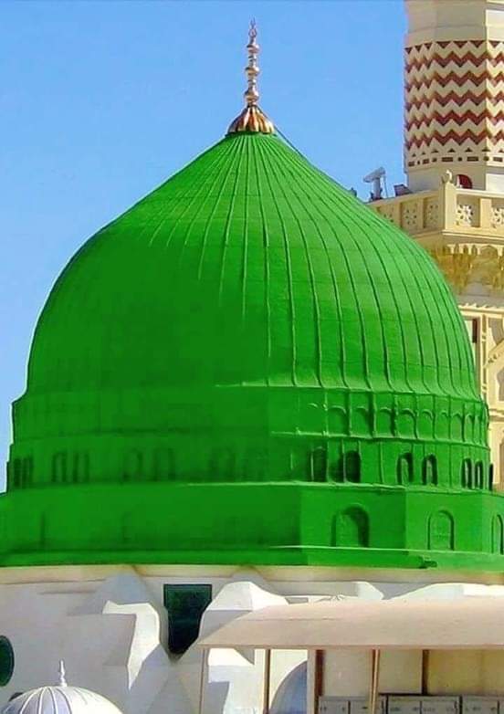 Samina Hafeez Malik tweet media