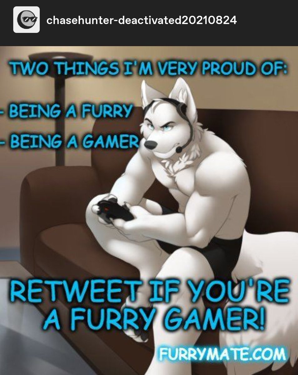 Chasehunter-deactivated