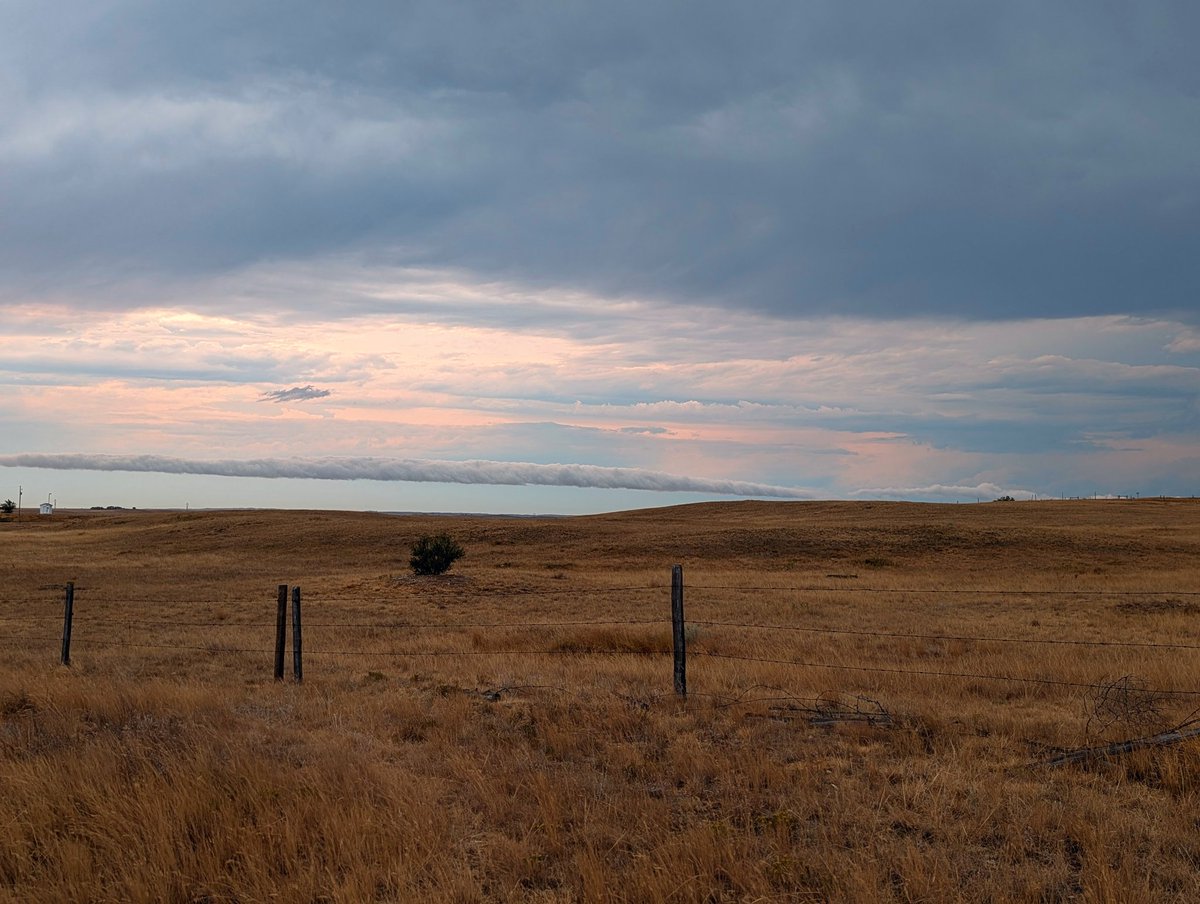 Sarah Vinge-Mazer tweet media