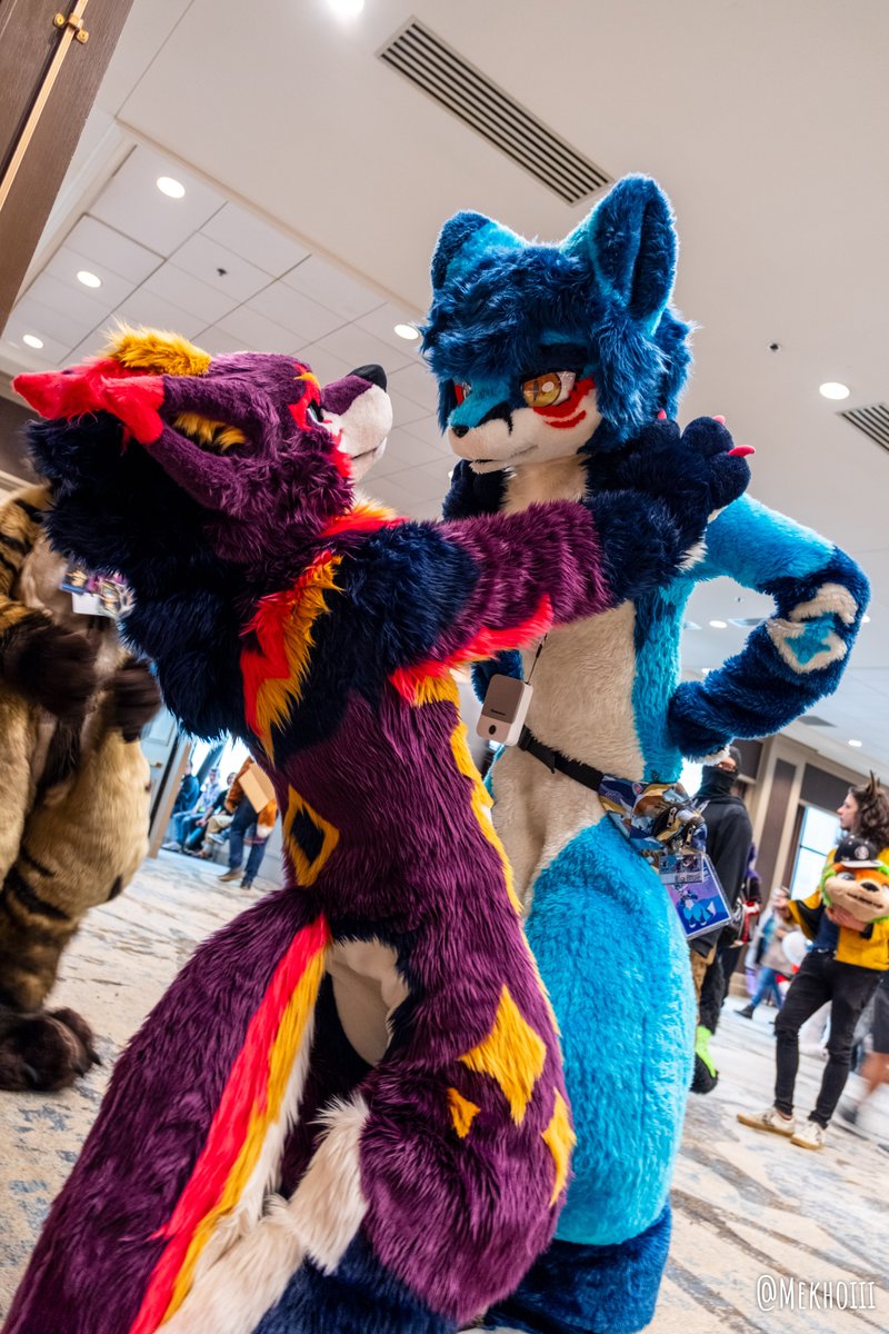 富士山 ?! 🥵🗻 He's so tall!
📷: <a href="/Mekhoiii/">Mekhoi 🐾</a>