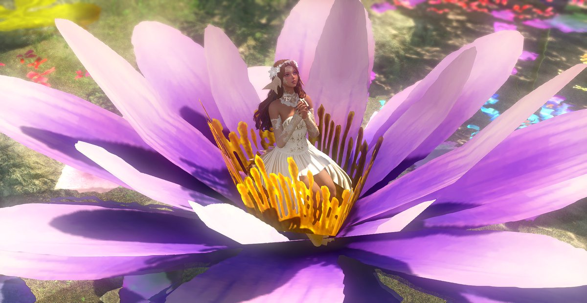 Selentheknight's tweet photo. And she was a fairy 

#GPOSERS | #ReShade | #milliworks | #DreamingBelleMods | #curemods | #Au_Ra https://t.co/swuJYtenEU
