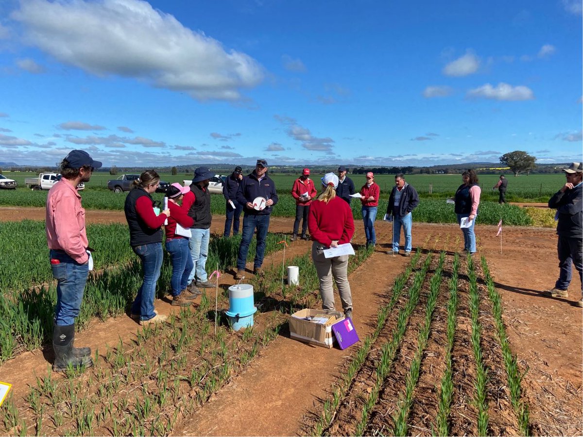 We had an excellent week at the IPF long-term N*P trial in Grenfell NSW. The theme is greenhouse gas (GHG) and ammonia emissions from N fertilisers and comparing eNpower and Green UreaNV to conventional urea treatments.

Stay tuned for further updates in the coming months!