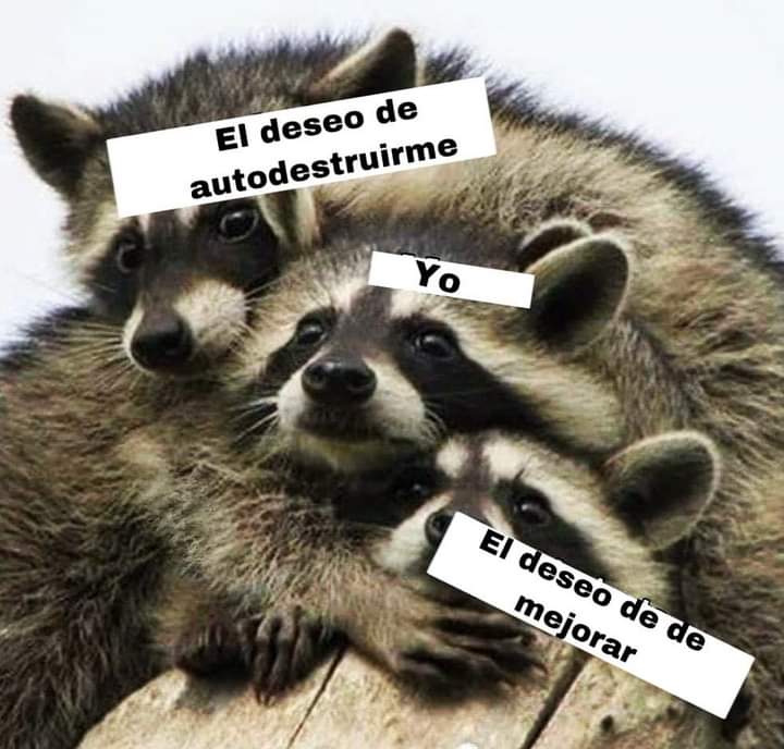 This Charming Cap (@briagowsky) on Twitter photo 