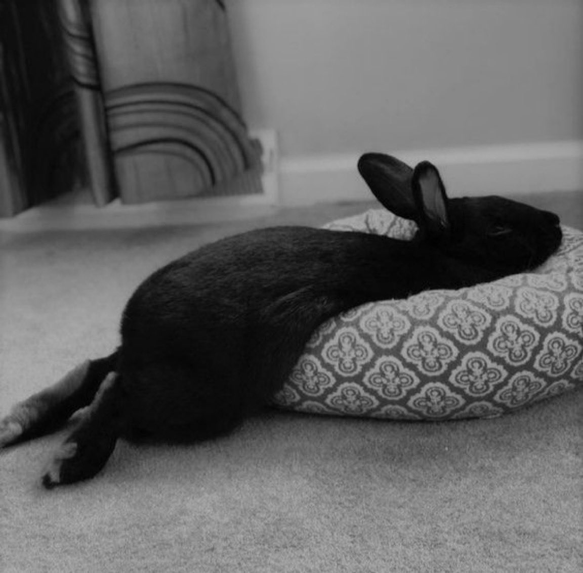 Agatha Chocolats tweet media