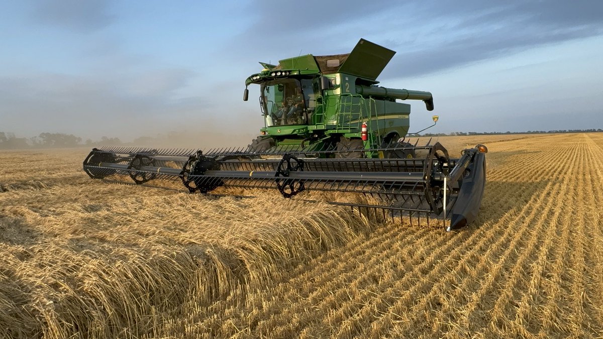 Murray Froebe (@agassizmur1) on Twitter photo And so it begins <a href="/AgassizSeedFarm/">Agassiz Seed Farm</a>! Combines loving SY Rowyn wheat & this wheat sure loves our Sperling clay loam soil on the higher moisture years. We are very thankful to see these yields, after the last few dry years. <a href="/AllianceSeed/">Alliance Seed</a> #harvest24 And so it begins <a href="/AgassizSeedFarm/">Agassiz Seed Farm</a>! Combines loving SY Rowyn wheat & this wheat sure loves our Sperling clay loam soil on the higher moisture years. We are very thankful to see these yields, after the last few dry years. <a href="/AllianceSeed/">Alliance Seed</a> #harvest24