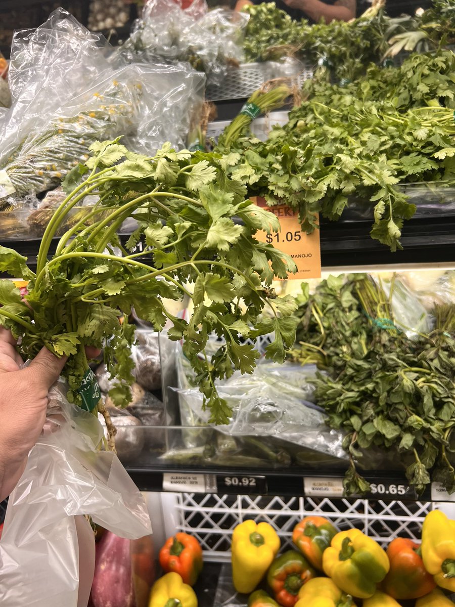 Si tienen donde sembrar y les gusta cocinar, planten su cilantro y otras hierbas de cocina, antes valía $0.65 el manojo de cilantro hoy la 4ta parte de eso vale $1.05 en “oferta”
