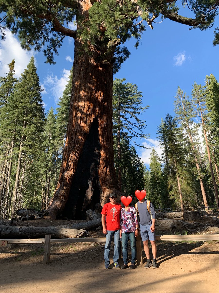 Twenty-five years ago today.

Aug 22, 1999:

A 33-year-old high ranking senior official from India shows a giant middle finger to his constitutionally guaranteed job in the IAS, packs up, and lands in Michigan with his family to begin a new journey in 🇺🇸 the land of the free and
