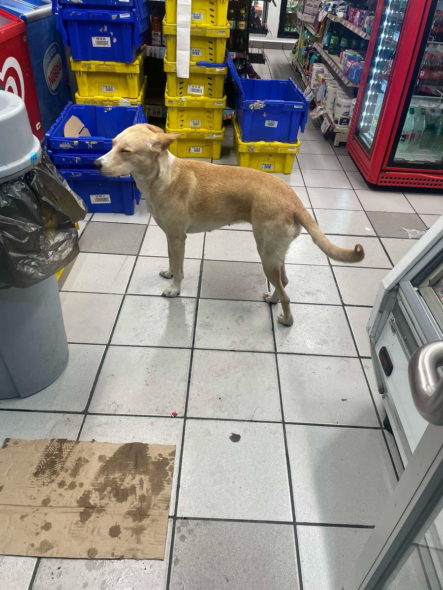 Todos Somos Azcapotzalco tweet media