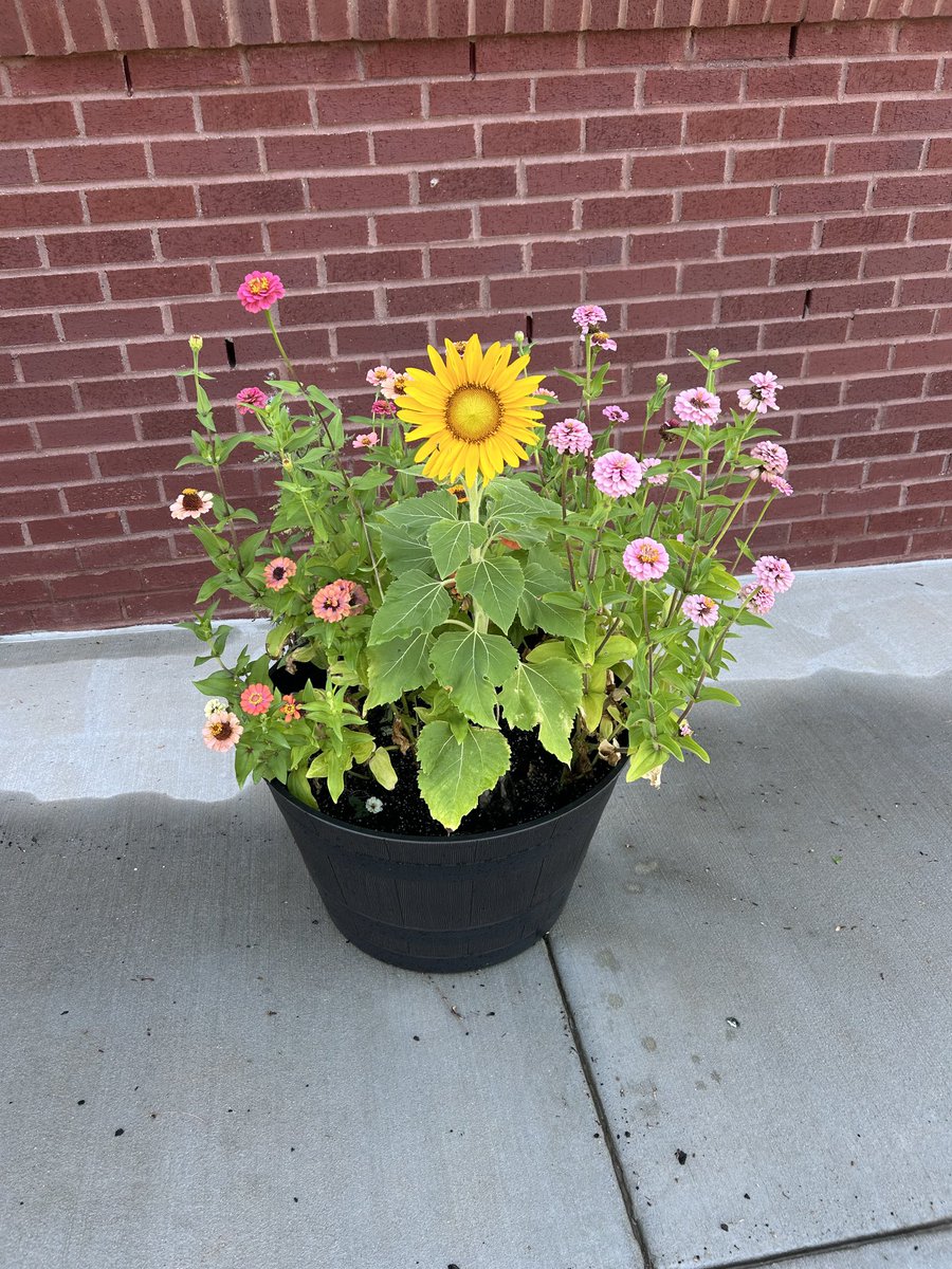 WFES ESOL tweet media