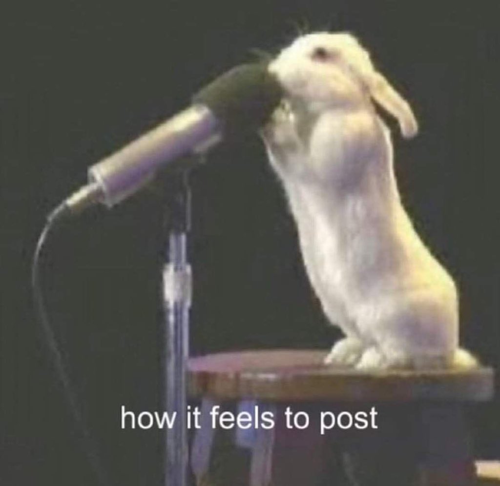 Así publicamos en esta cuenta