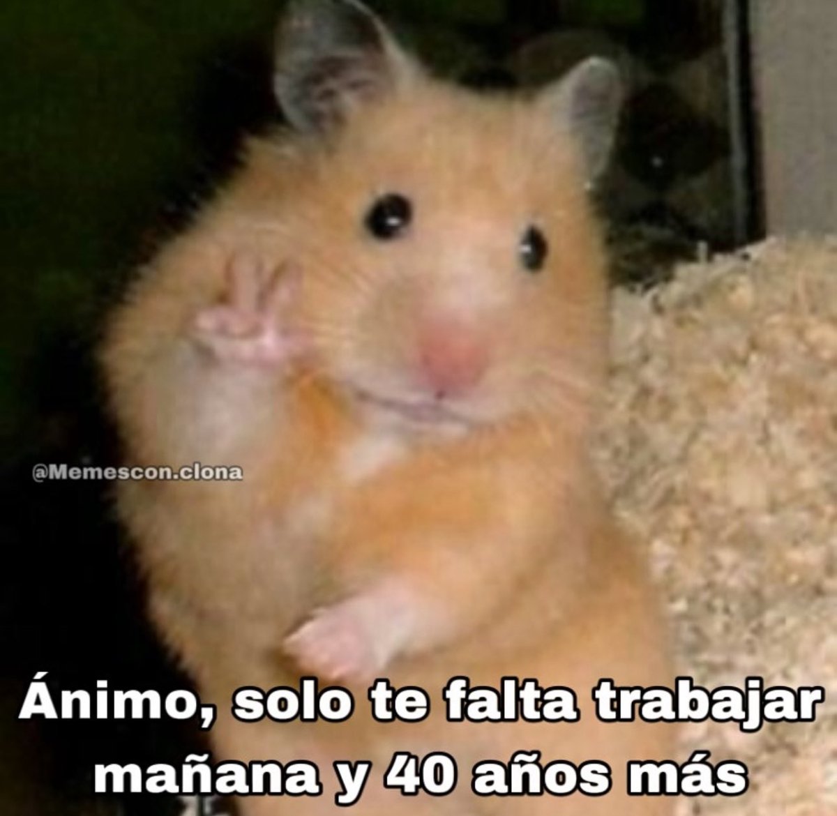 Hajajaja