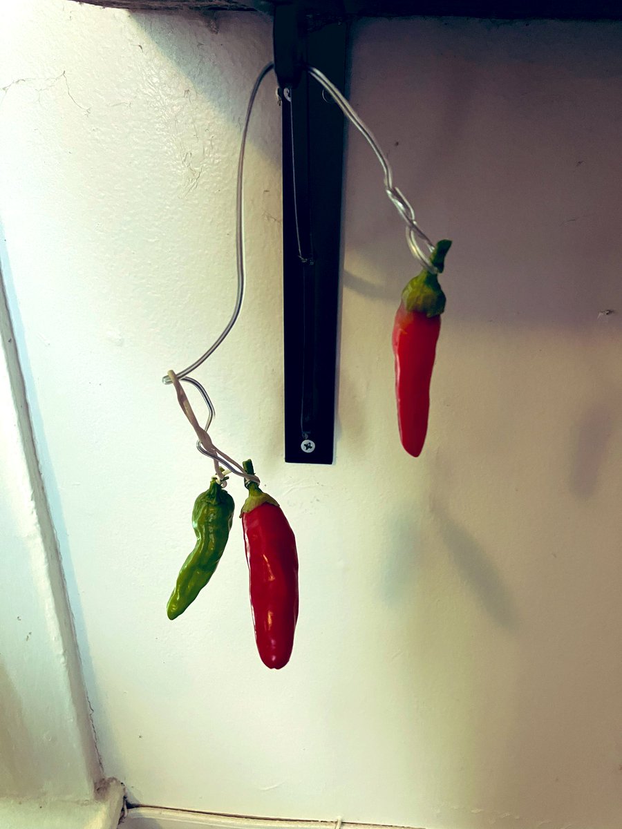 michael sarff tweet media