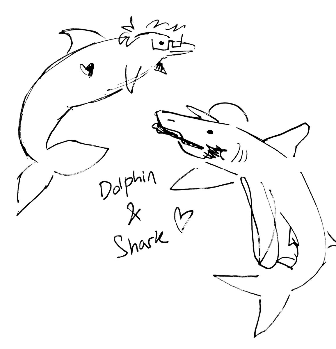 day 90 🐬 🦈