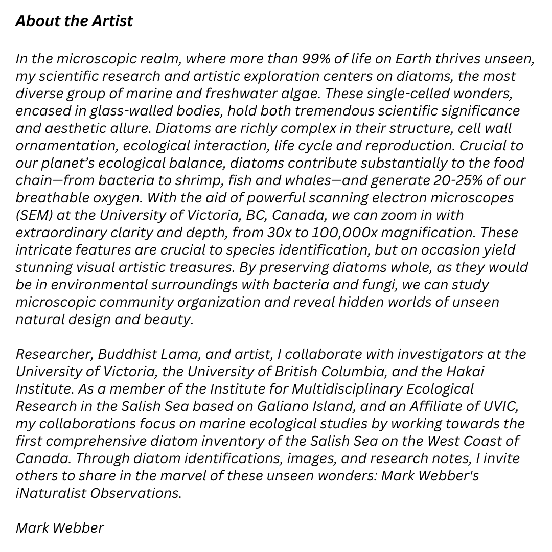 IMERSS_labs's tweet photo. Salish Sea Diatoms: an Art and Science silent auction is officially over, but we are now offering print sales for a limited time only! Prices are determined by the final silent auction bid.
Orders are accepted until Oct 15th, noon https://t.co/p9PzLf2biV https://t.co/rYDHpEaUS0