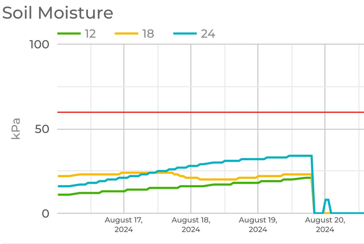 Louisiana Delta Crop Report (@ladeltacrop) on Twitter photo Silty clay loam field has been in no-till/cover crops for 5 years. Watered 1st time 8/20, refilled to 24” depth. <a href="/LSUAgCenter/">LSU AgCenter</a> <a href="/lsu_BMPs/">LSUAgCenterOnFarmBMPs</a> <a href="/SouthCoverCrops/">SouthernCoverCropsCouncil</a> Silty clay loam field has been in no-till/cover crops for 5 years. Watered 1st time 8/20, refilled to 24” depth. <a href="/LSUAgCenter/">LSU AgCenter</a> <a href="/lsu_BMPs/">LSUAgCenterOnFarmBMPs</a> <a href="/SouthCoverCrops/">SouthernCoverCropsCouncil</a>