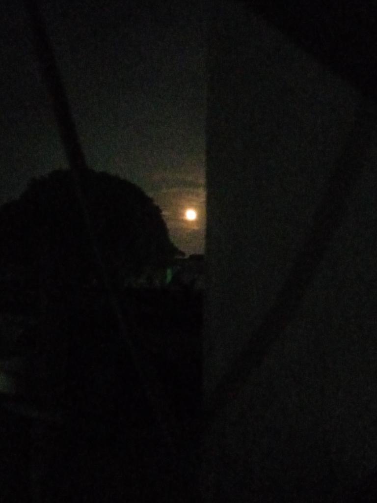 Libia Miranda tweet media