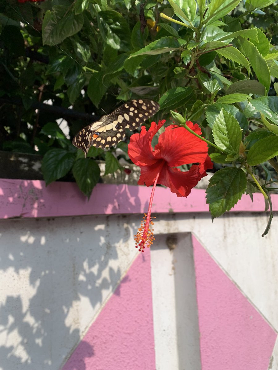 jyotijoshan93's tweet photo. When everything seems to be going against you, remember that the airplane takes off against the wind, not with it.
#GoodMorningEveryone https://t.co/IvqsNIsp5T