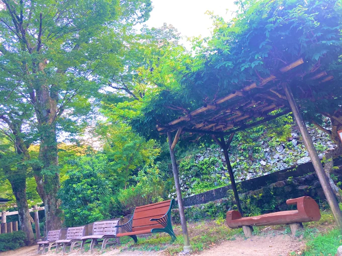 嬉しいです実は選挙前から、街を歩き対話し、山には3回登り、対話してきましたホタルも暮らす街、日本3本の指に入る昆虫生息域と言われる大自然本当に守らなきゃいけない大阪でも貴重な場所なんだと感じましただからマキカオルという人を必ず市政に送り込んでほしいそう願ってます 