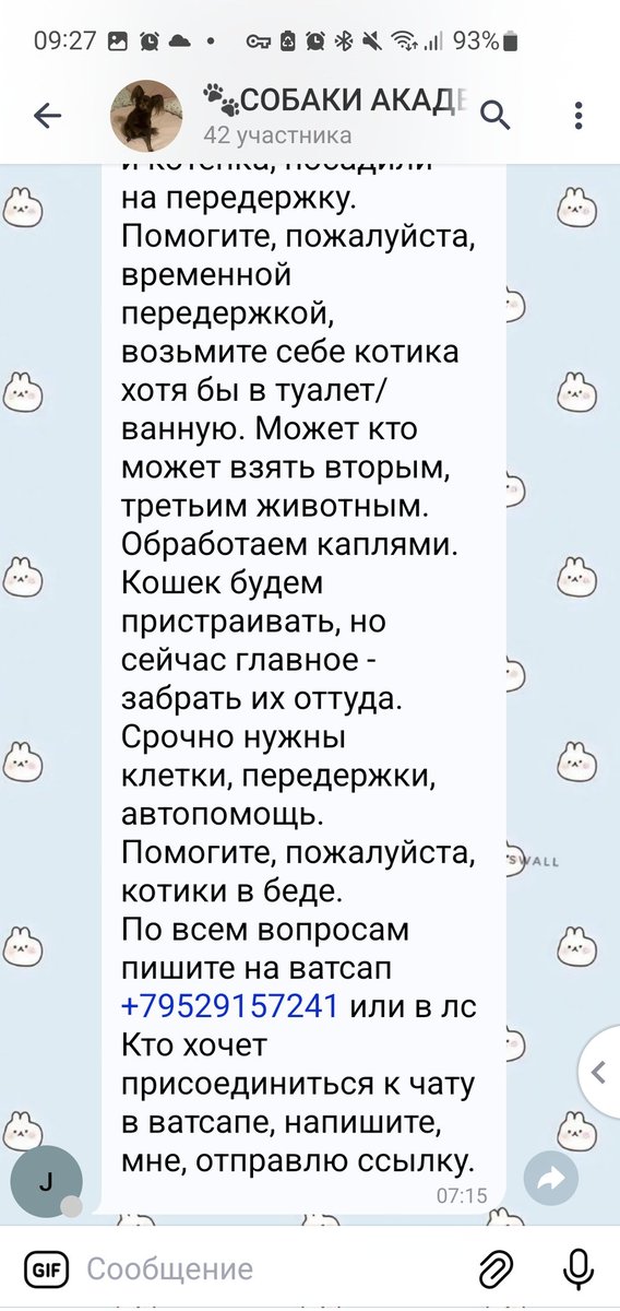 Пошарьте, плиз, Академ, Нск
+79529157241