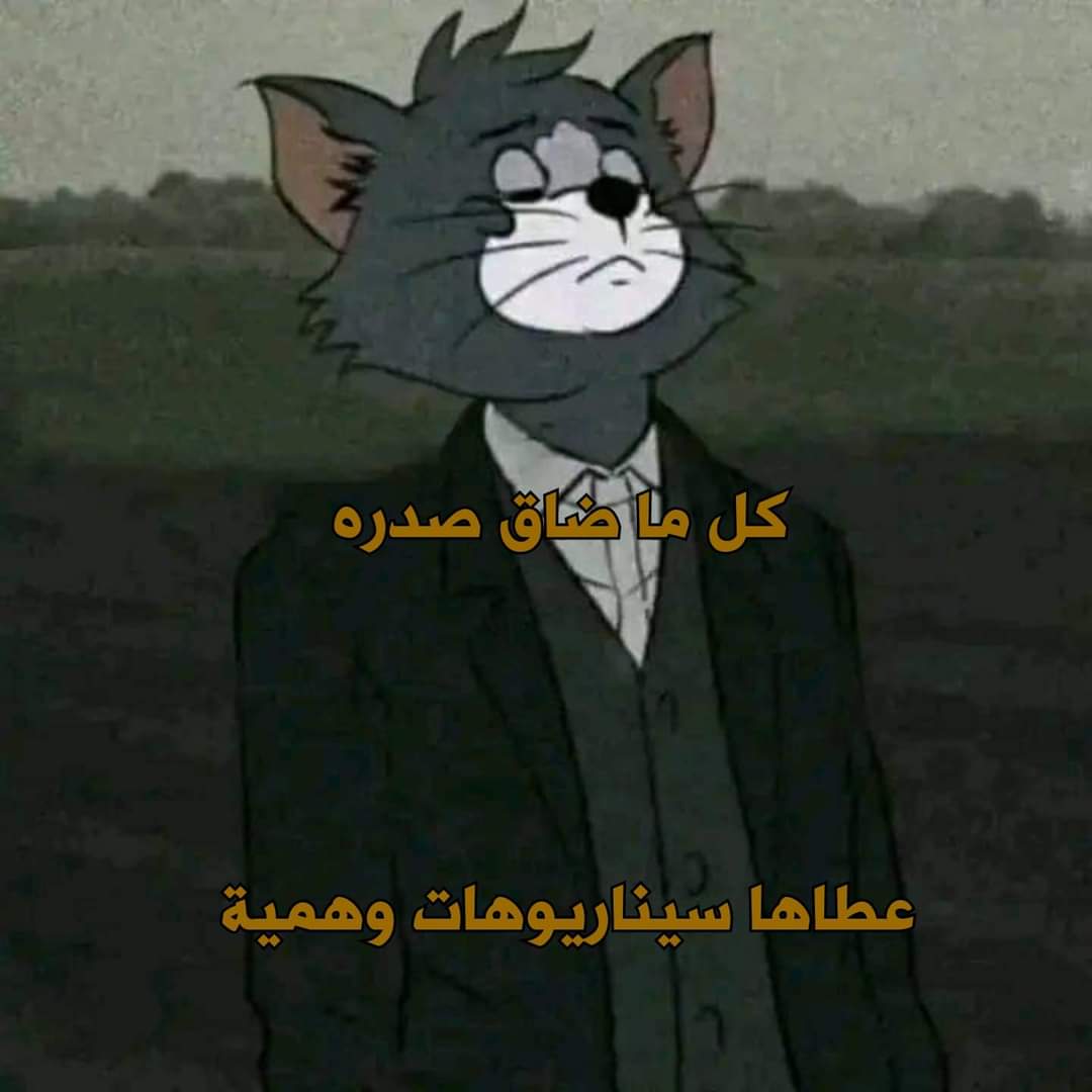 True Memes (@truememes_) on Twitter photo 