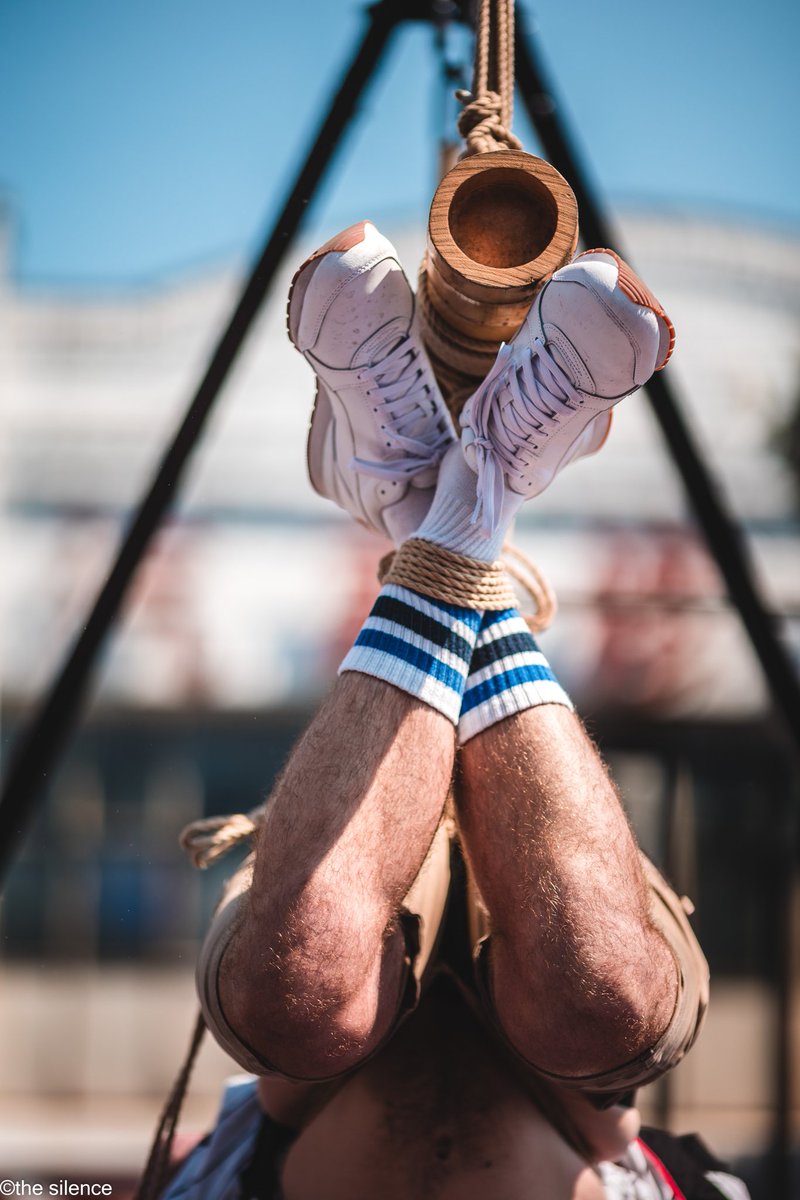 Twisted Windows tweet media