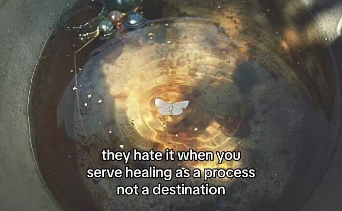 เผบ๐ธ๐ฝ๐๐๐๐๐๐๐เฟเผป tweet media