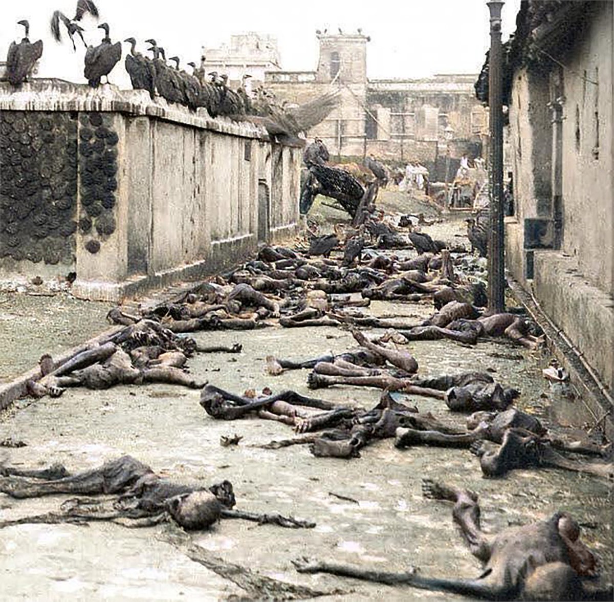 DaniMayakovski's tweet photo. Un 22 de agosto de 1943 se publicaban por primera vez estas fotos del genocidio de Bengala (La India), donde el imperialismo británico de la mano de Winston Churchill, exterminó de hambre hasta 5 millones de indios.

El gobierno británico, en 1942, tomó la decisión de robar todas las reservas de arroz a la población nativa de Bengala (La India), ocupada por los británicos, para enviar la comida a los soldados británicos en el frente de guerra, todo esto en medio de una crisis de cultivos por el daño de un ciclón en la región.

Ante la escasez de comida provocada por los británicos, los alimentos se empezaron a acaparar y a subir de precio, privando a la población definitivamente de comida y matándola de hambre.

Después de la publicación de las fotos del genocidio en Bengala, el escándalo llegó a Gran Bretaña y a la Cámara de los Comunes... la respuesta de Winston Churchill ante el escándalo, fue asegurar que el exterminio de 5 millones de personas en Bengala era "selección natural" porque los indios eran una "raza inferior" que se "reproducía como conejos".

El colonialismo británico causó aproximadamente 165 millones de muertes en la India en apenas 40 años, solo entre 1880 y 1920, además Reino Unido saqueó unos 45 billones de dólares de la India entre 1765 y 1938.