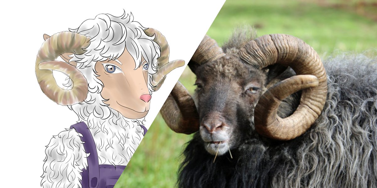 The_HolyShiller's tweet photo. @cryptojack From all the NFT collections going round, I am happy that I found @OneSheepsWorld - There is so much going for this project... Hard working team who listens to community and I love it!
#NFTFamily #NFTCommunity #NFTCollection #crypto #osw #nfteth https://t.co/YV518lN51t