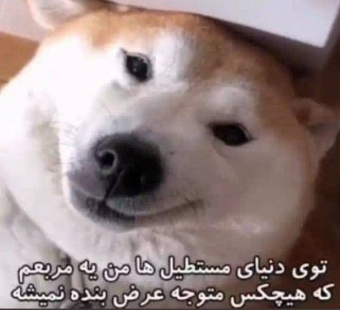 چرا نمیخوای فالوم کنی بک بدم بهت 😭