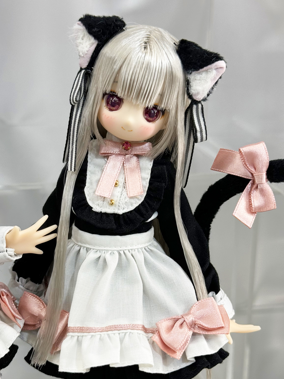 一歩進んだ関係性 ロコムジカ&ルベルブルーメ　2種　SP サイン　2枚セット SP 一歩進んだ関係性 ロコムジカ&ルベルブルーメ(サイン入り