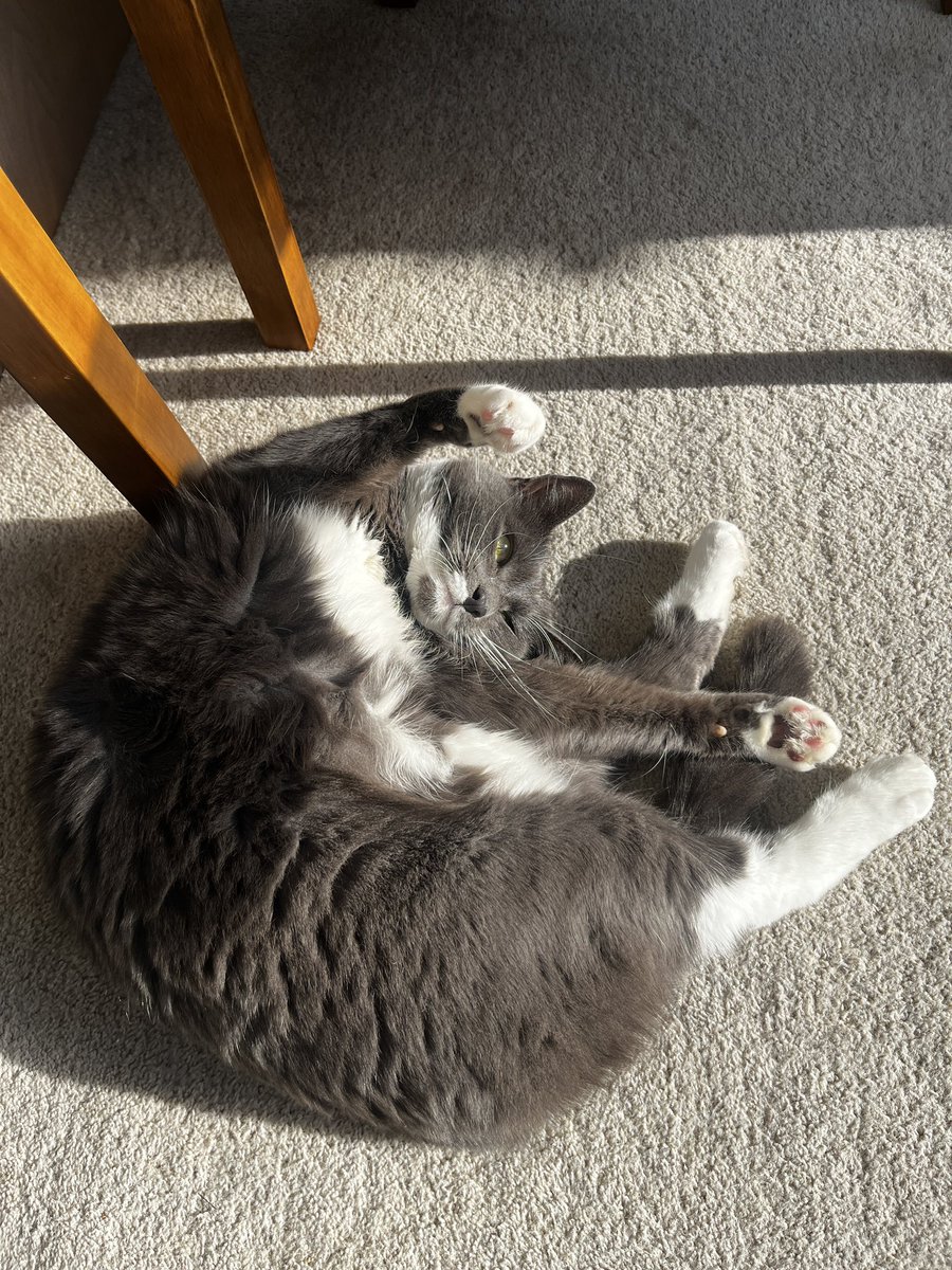 <a href="/nzkai0123/">nzkai</a> 艾玛，这是我闺女失散多年的兄妹么？