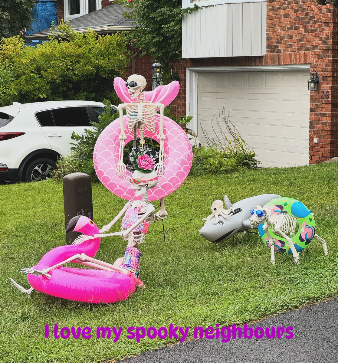 HorrifyingHist1's tweet photo. I have the best neighbours

#skeletonanimals #skeleton #summervibes #spooky https://t.co/zwGPu4VIBk