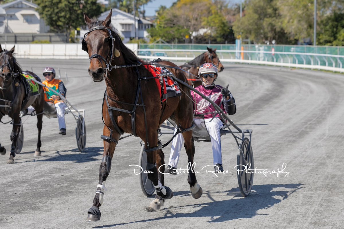 Dan Costello (@danracingwrap) on Twitter photo The money was spot on as Borella wins untroubled in race 2 <a href="/TheCreekAlbion/">The Creek</a> with <a href="/barnesy1997/">Brendan Barnes</a> for trainer <a href="/RileyButt6/">Riley Butt</a> @TRButtRacing <a href="/chapeauxx/">Alan Aitken</a> The money was spot on as Borella wins untroubled in race 2 <a href="/TheCreekAlbion/">The Creek</a> with <a href="/barnesy1997/">Brendan Barnes</a> for trainer <a href="/RileyButt6/">Riley Butt</a> @TRButtRacing <a href="/chapeauxx/">Alan Aitken</a>