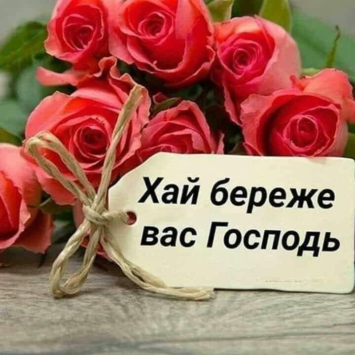 ♥️🇺🇦Natali tweet media