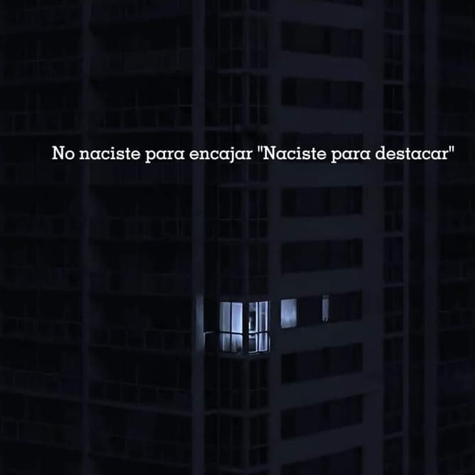 Bandidosfrasess tweet picture
