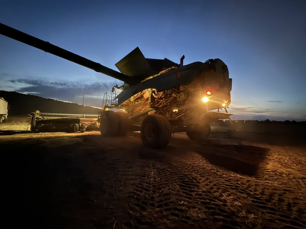 Logan Hoeft tweet media