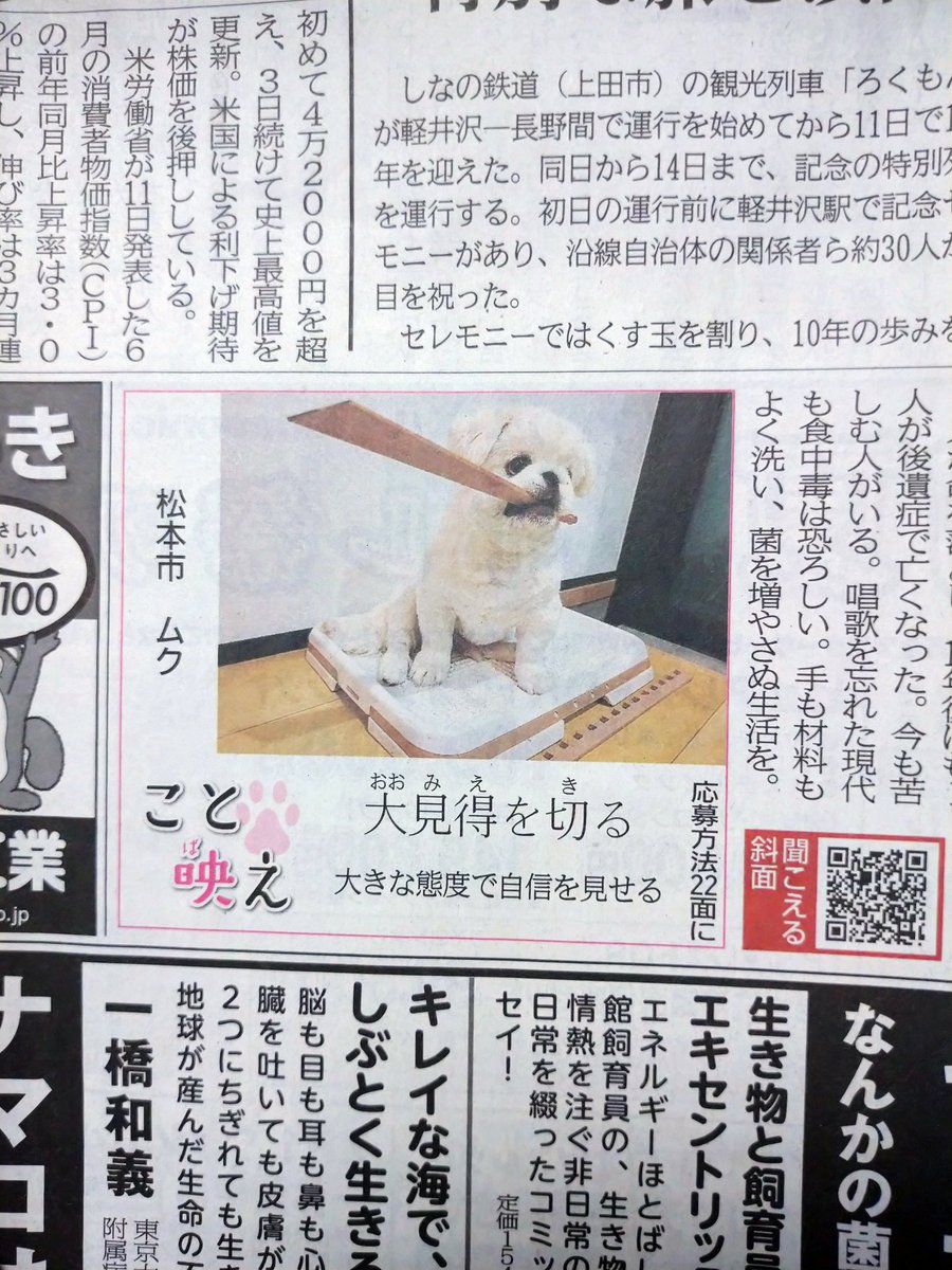 実家から送られてきた荷物に入ってた新聞にザシアンおったわ 