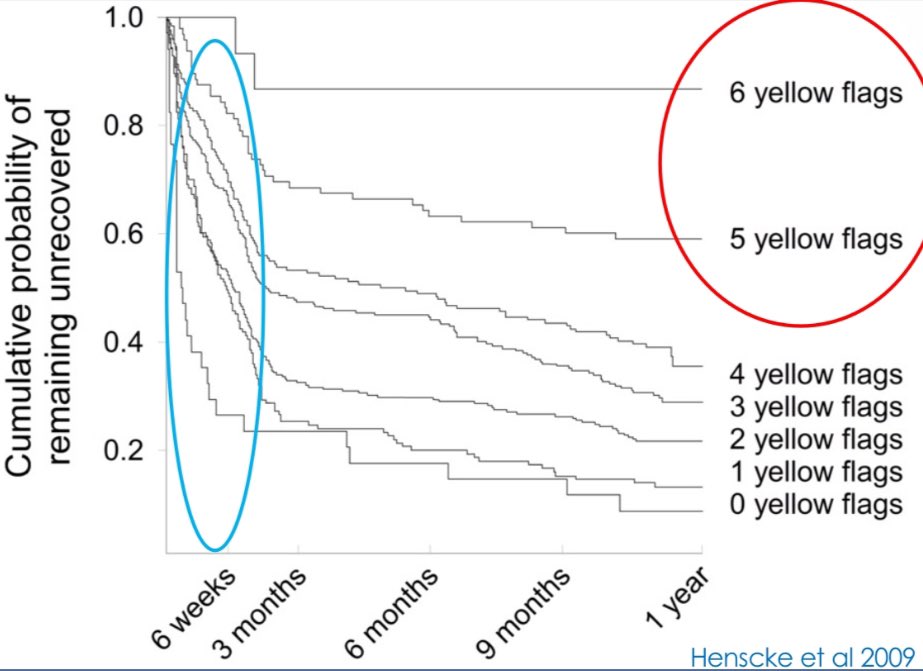 Smerte

Veldig mange overvurderer strukturelle endringer sett på f.eks MR-bilder, som årsaken til smerte…

Og totalt undervurderer hvor mye faktorer som: dårlig søvn, stress, lite aktivitet, redusert sosialliv, dårlig mat, frykt, etc. har å si!