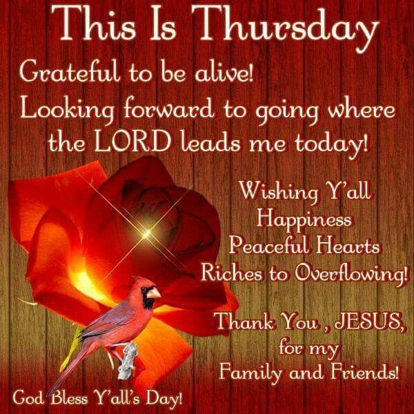 Gabriel Isaiah Gaia AlDub/MaiChard💛💚 (@gaia_adn) on Twitter photo GOD is faithful and true <a href="/aldenrichards02/">Alden Richards</a> <a href="/mainedcm/">Maine Mendoza</a> never will the LORD our GOD abandon us. HE is always with us whatever the circumstances. Our LORD GOD provides all our needs. HE gives us✌️that🌍 can't give. #BOYCOTTEatBulaga1261
#ALDUB475thWeeksary
NO TO SOLO PROJECTS
Ctto GOD is faithful and true <a href="/aldenrichards02/">Alden Richards</a> <a href="/mainedcm/">Maine Mendoza</a> never will the LORD our GOD abandon us. HE is always with us whatever the circumstances. Our LORD GOD provides all our needs. HE gives us✌️that🌍 can't give. #BOYCOTTEatBulaga1261
#ALDUB475thWeeksary
NO TO SOLO PROJECTS
Ctto