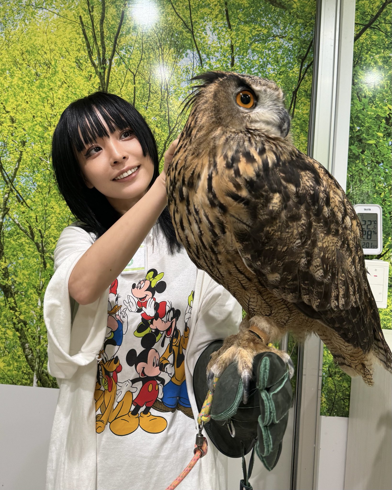 フクロウページ 首かしげふくろうさん（小サイズ） | 京都嵯峨 寿庵