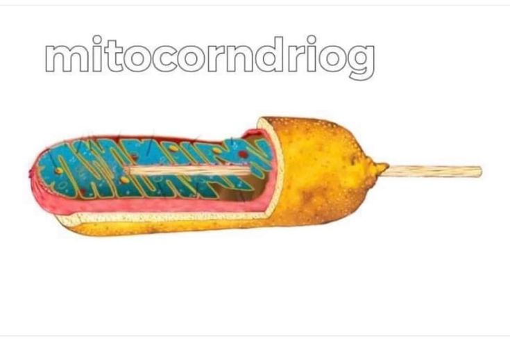 i like food (@messedupfoods) on Twitter photo 